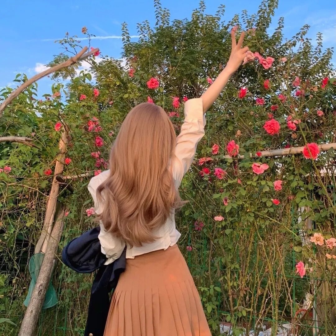 我与玫瑰，随时为公主待命